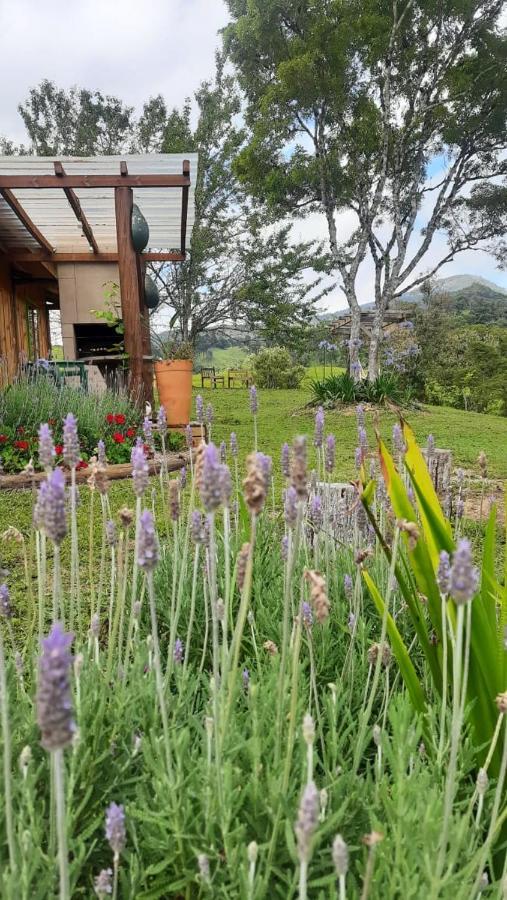 Sítio Recanto da Guarda - Cabana Araucária Bom Retiro (Santa Catarina) Exterior foto